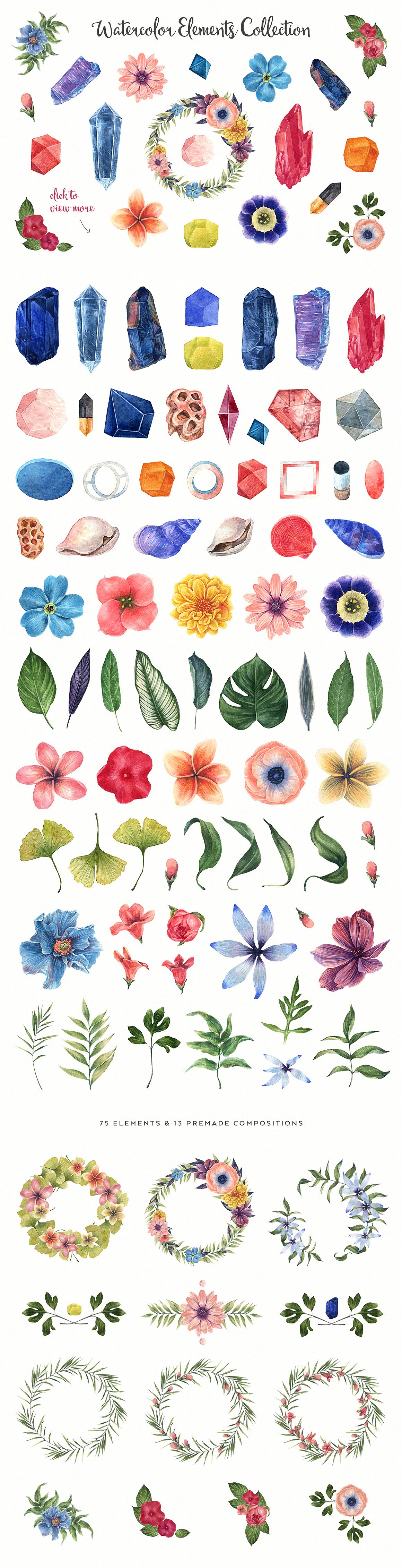 精美宝石花卉手绘水彩插图集合 Watercolor Enthusiast Graphic Kit_img_2