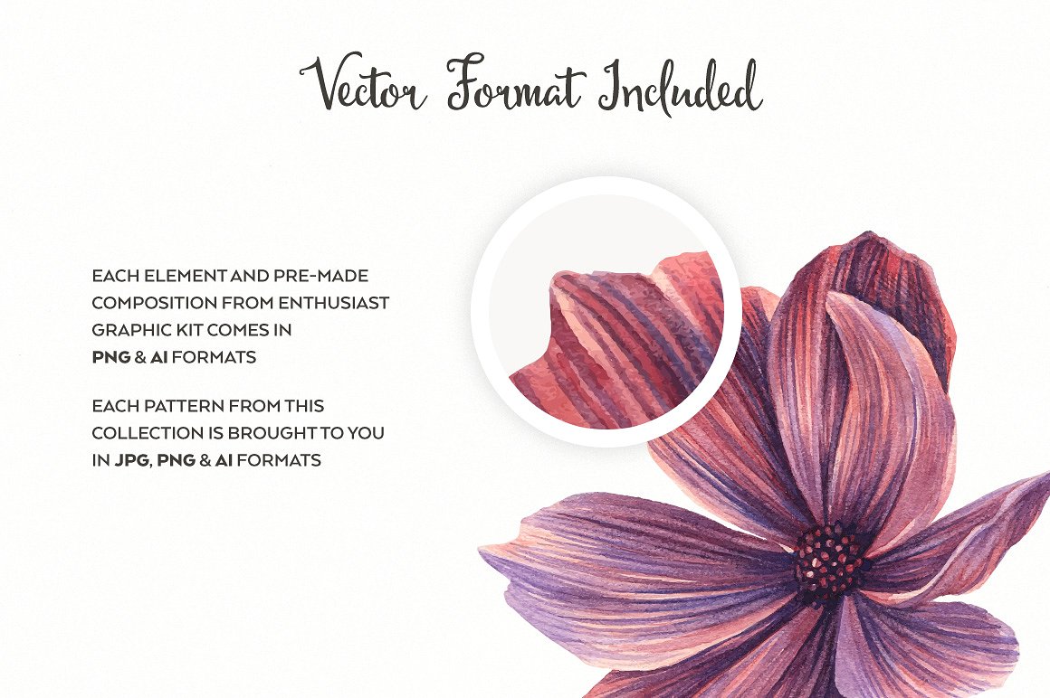 精美宝石花卉手绘水彩插图集合 Watercolor Enthusiast Graphic Kit_img_2