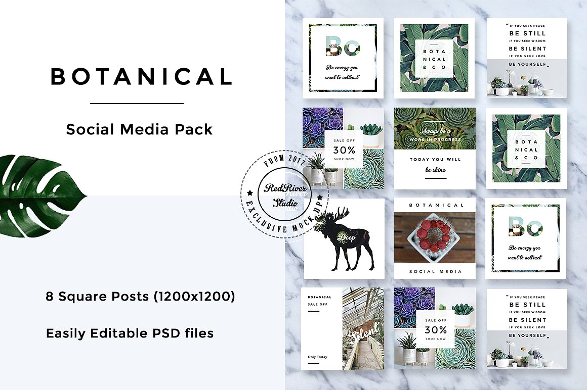 植物元素社交媒体包 Botanical Social Media Pack_img_2