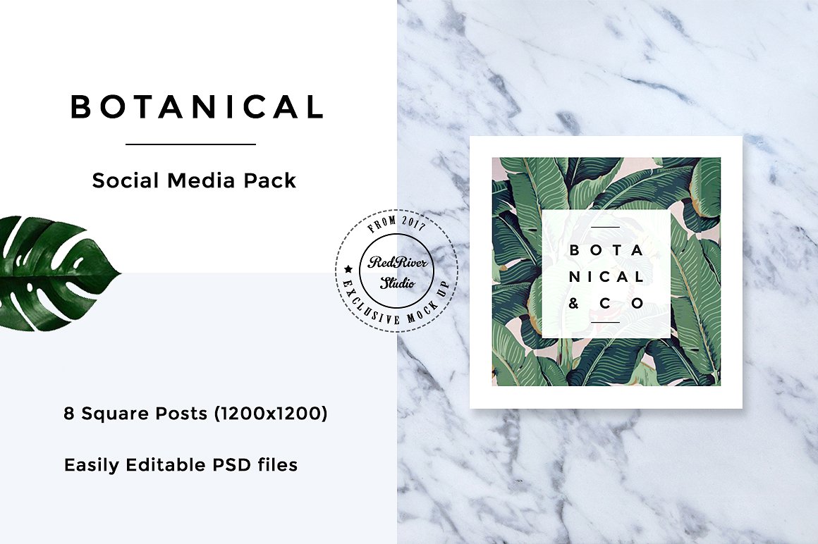 植物元素社交媒体包 Botanical Social Media Pack_img_2