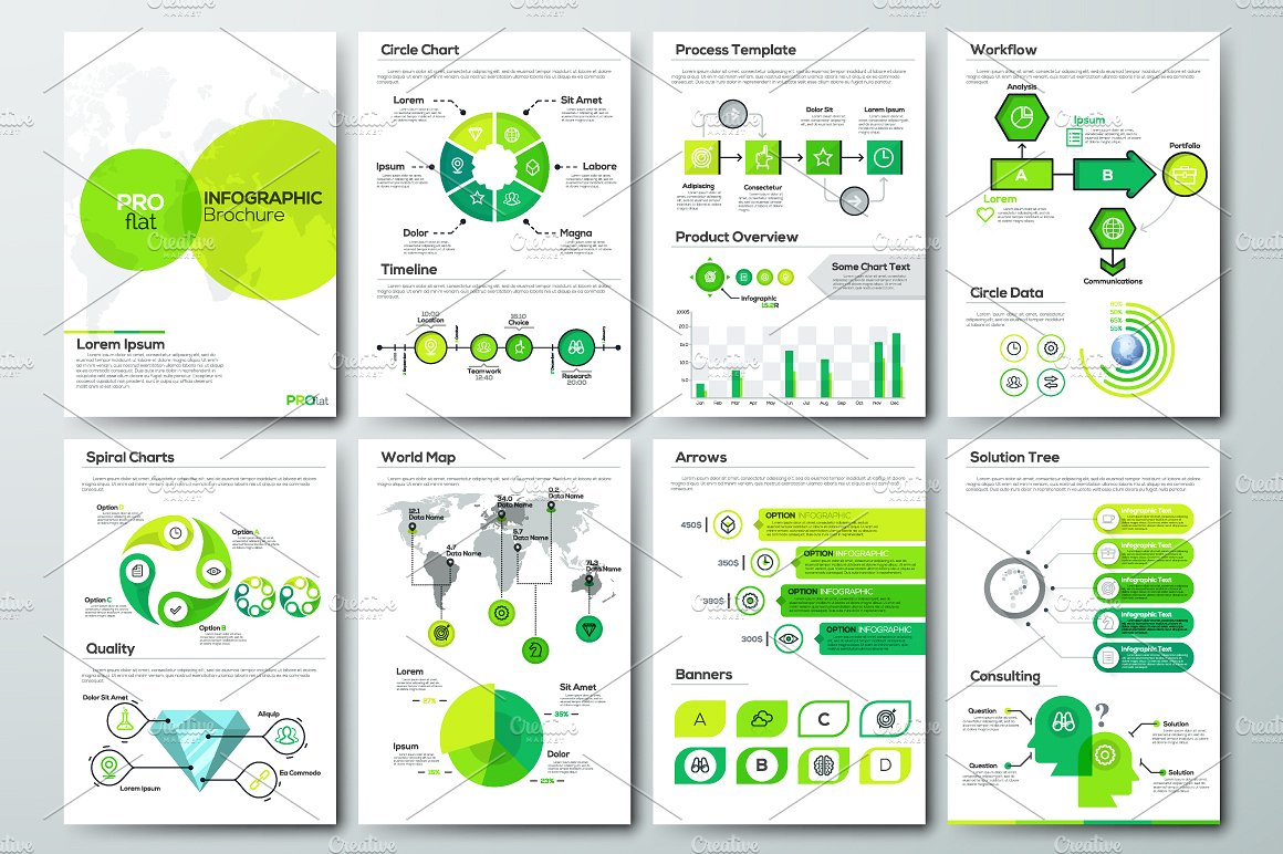 专业扁平化信息图表小册子 Pro Flat Infographic Brochure. Set_img_2