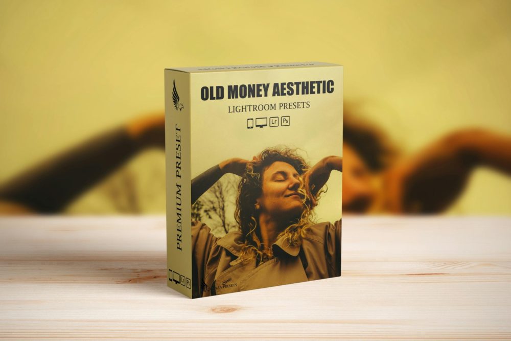 时尚优雅怀旧哥特式电影摄影照片调色Lightroom预设 Old Money Aesthetic Lightroom Presets插图