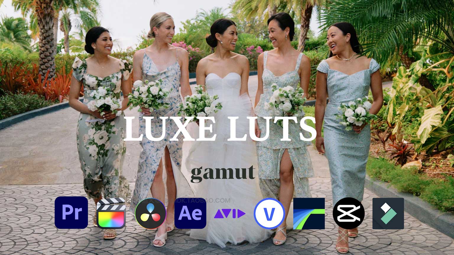 优雅轻奢清新婚礼旅拍人像摄影色彩分级LUT调色预设 Gamut – Luxe插图