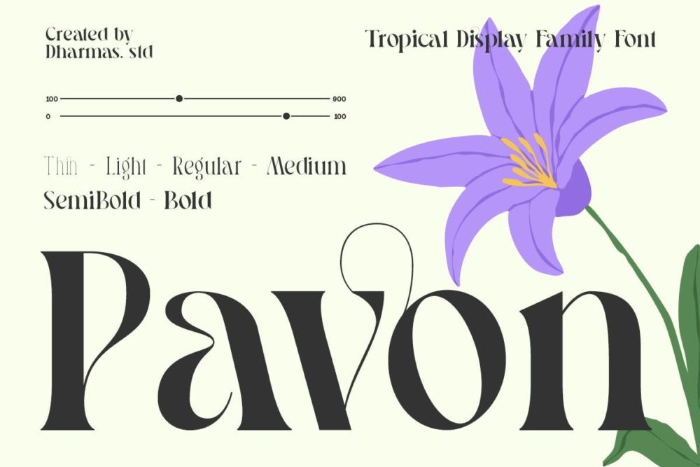 优雅复古品牌海报婚礼徽标设计衬线英文字体安装包 Pavon – Modern Luxury Font插图