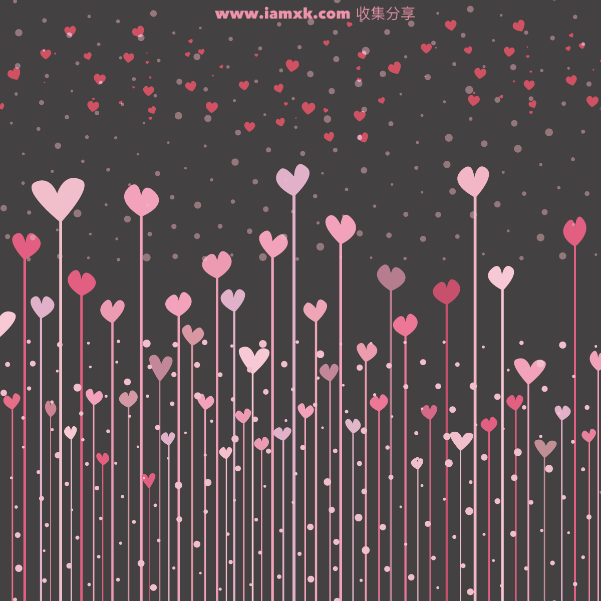 可爱的粉红爱心 Black background with pink hearts for valentine_img_3