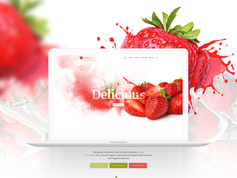 草莓主题网页模版 Product Landing Template – Strawberry_img_3