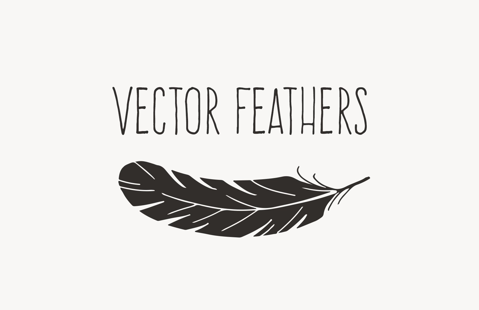 手绘羽毛矢量图形 Hand Drawn Vector Feathers_img_3