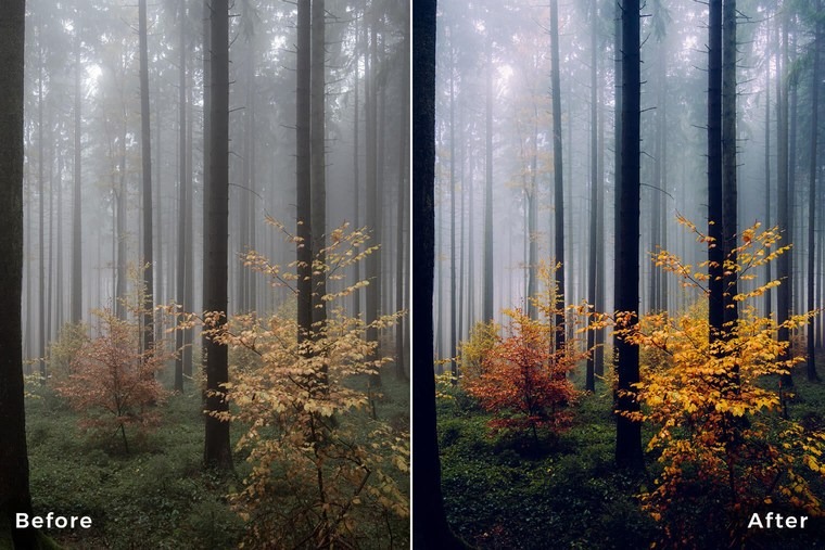 forest-lightroom-presets-before-after-02_2.jpeg