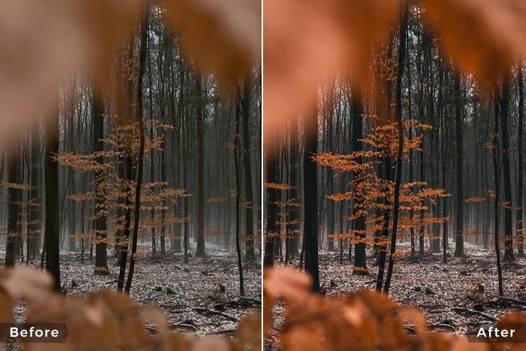 forest-lightroom-presets-before-after-24_2.jpeg