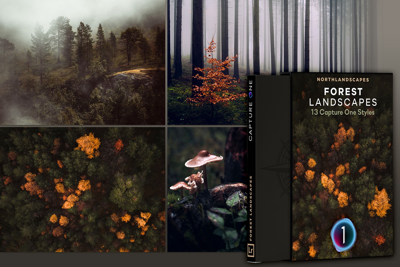 slider-forest-landscapes.jpeg