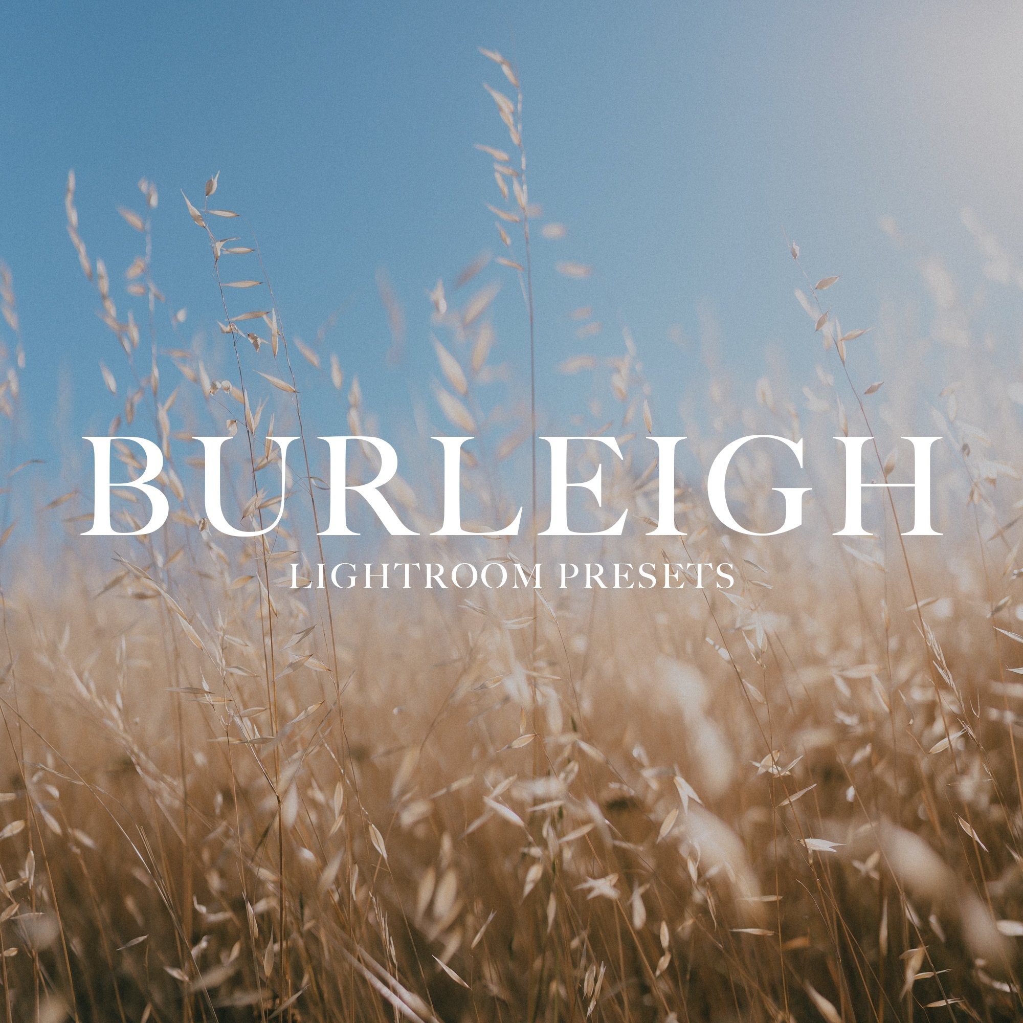 burleigh+presets+cover+image.jpeg