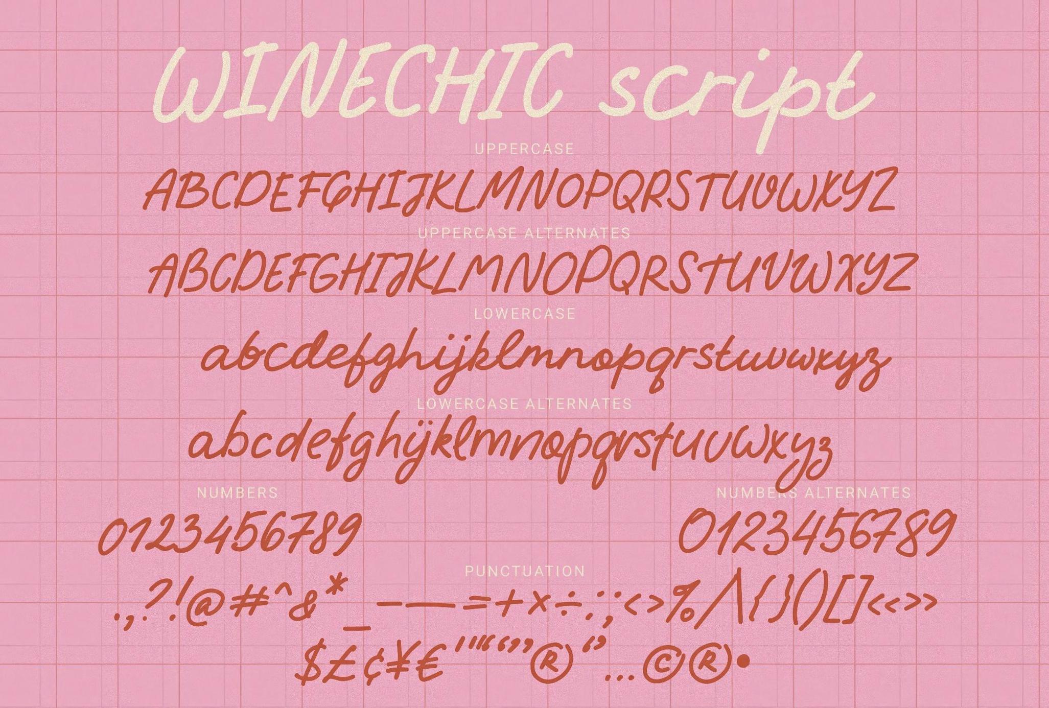 优雅类标签手工字体手写字体营销标签字体含62艺术线条 WineChic — Handwriting Font & Extras_FRr1fa