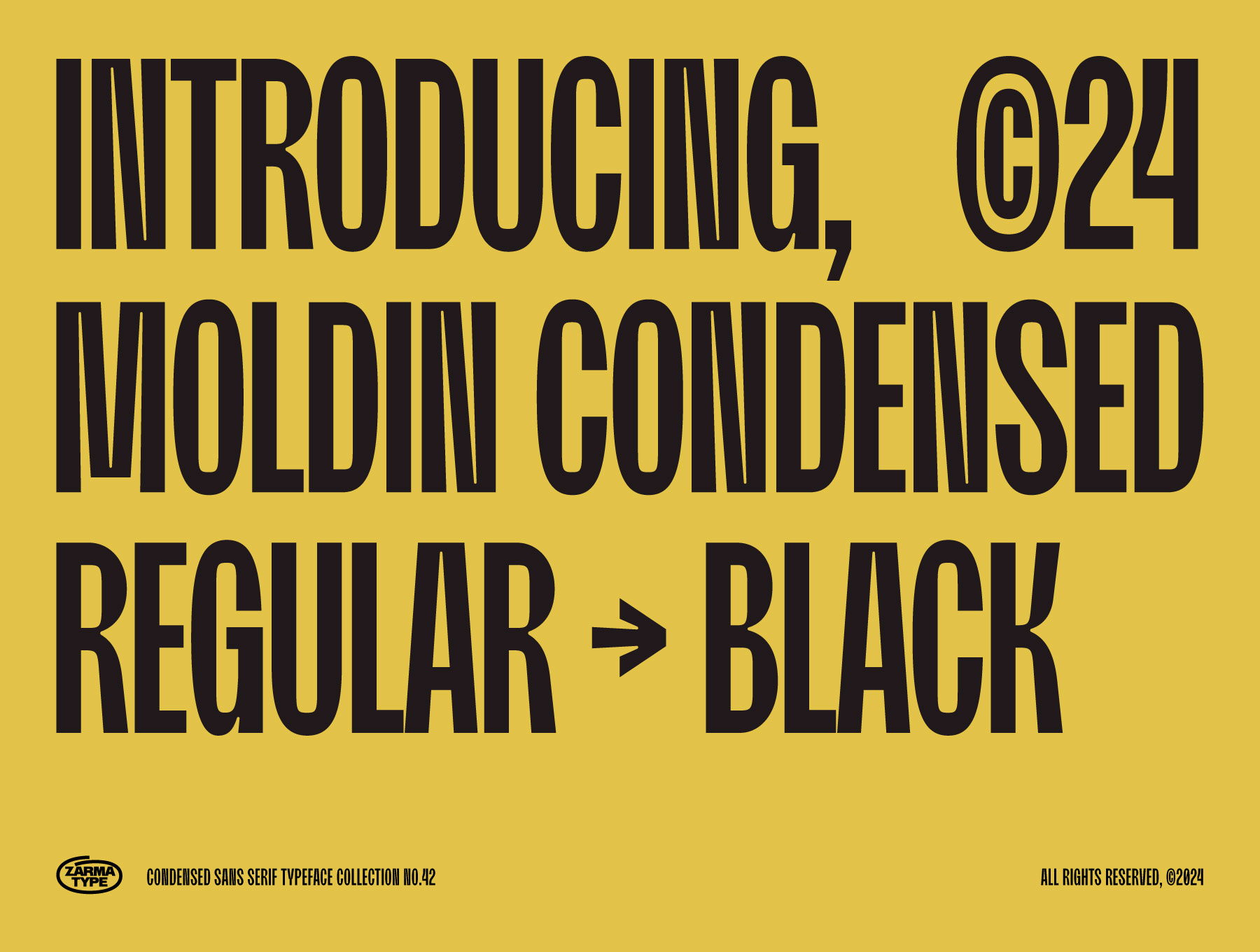 Moldin - Condensed Sans Serif Font_img_1