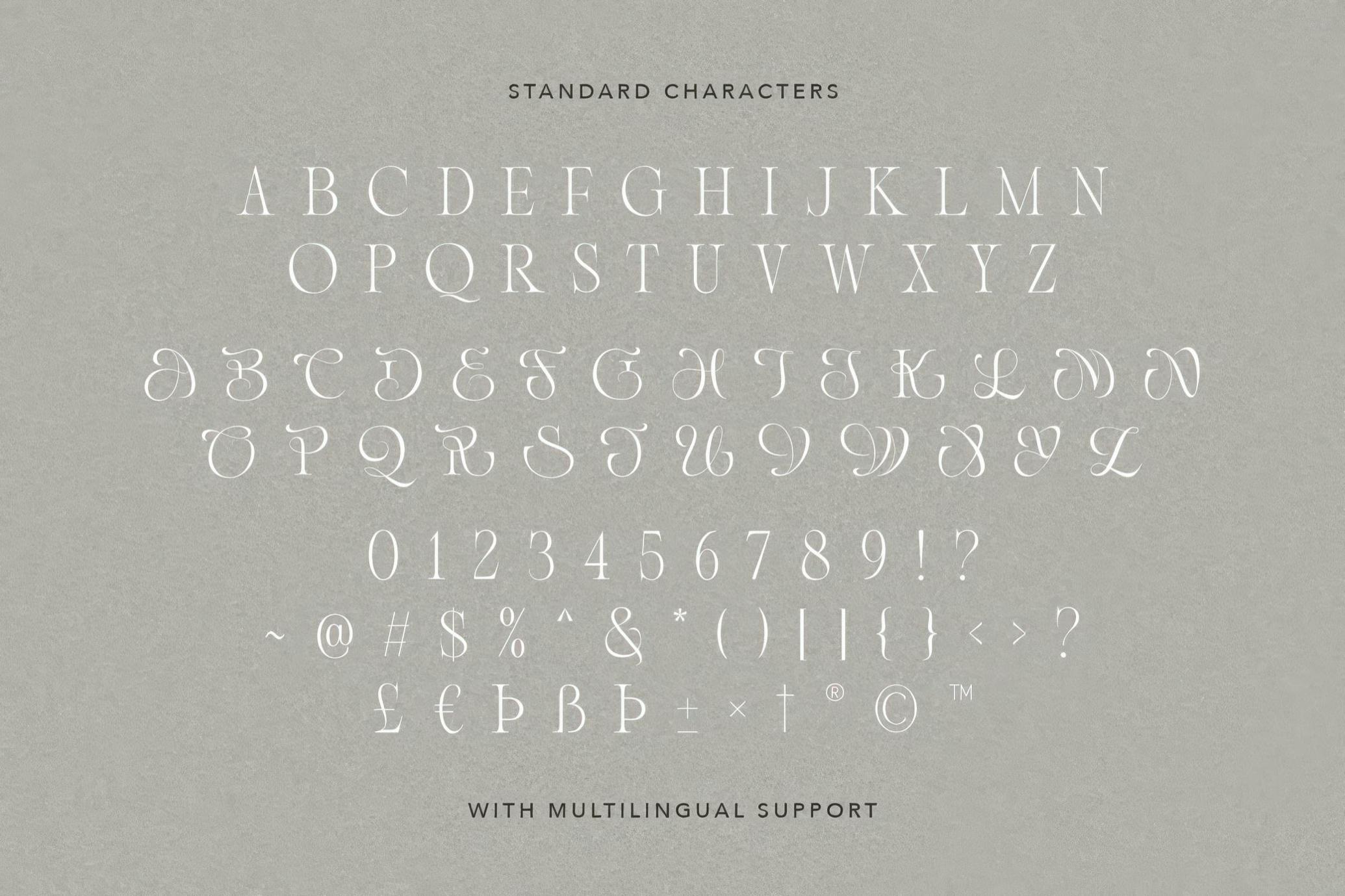 高级优雅奢华浪漫徽标广告请柬品牌衬线字体 Luxury Charm — Modern Ligature Font_fu8fY4