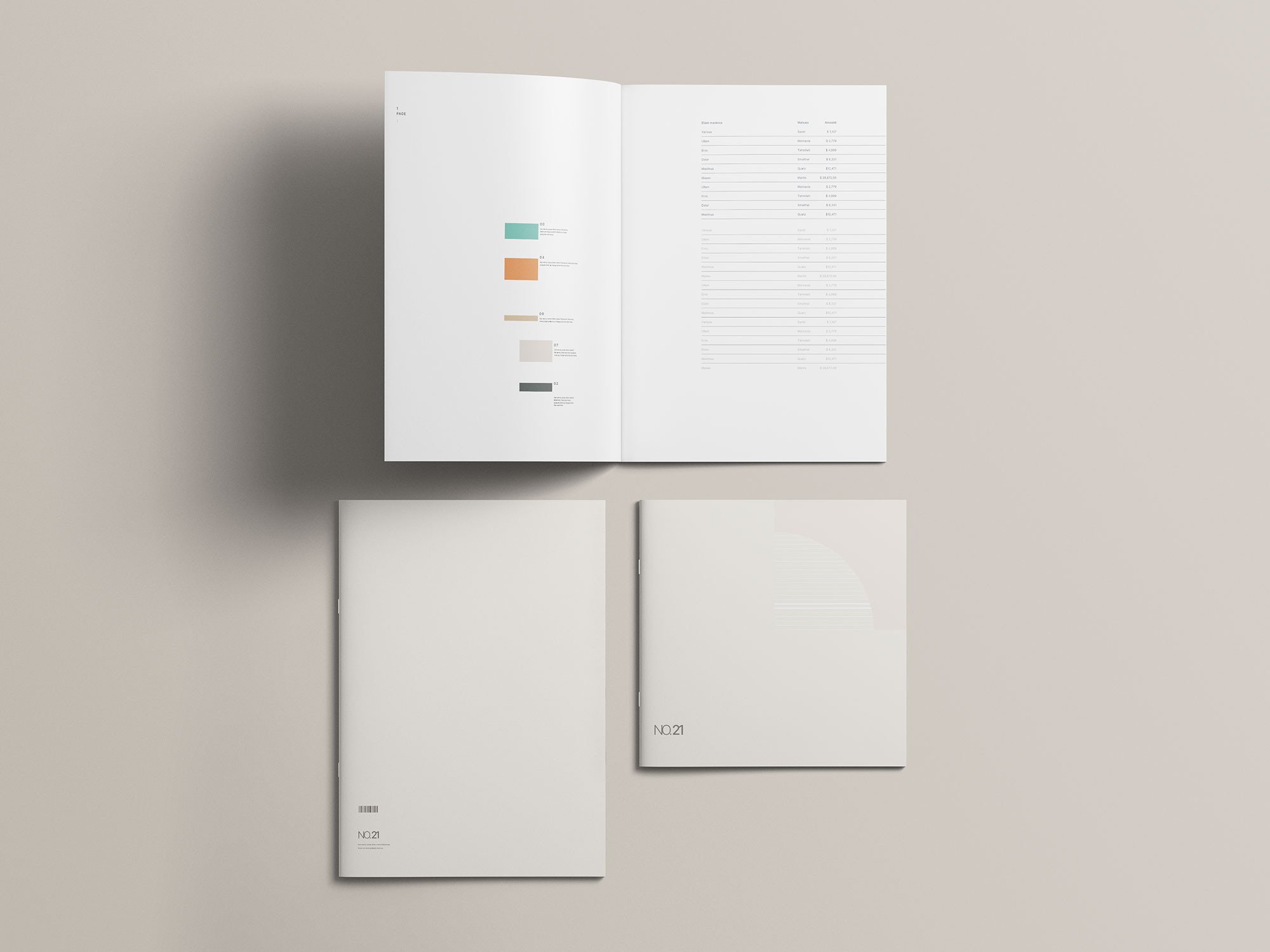 Square-and-A4-Brochure-Mockup-5.jpeg