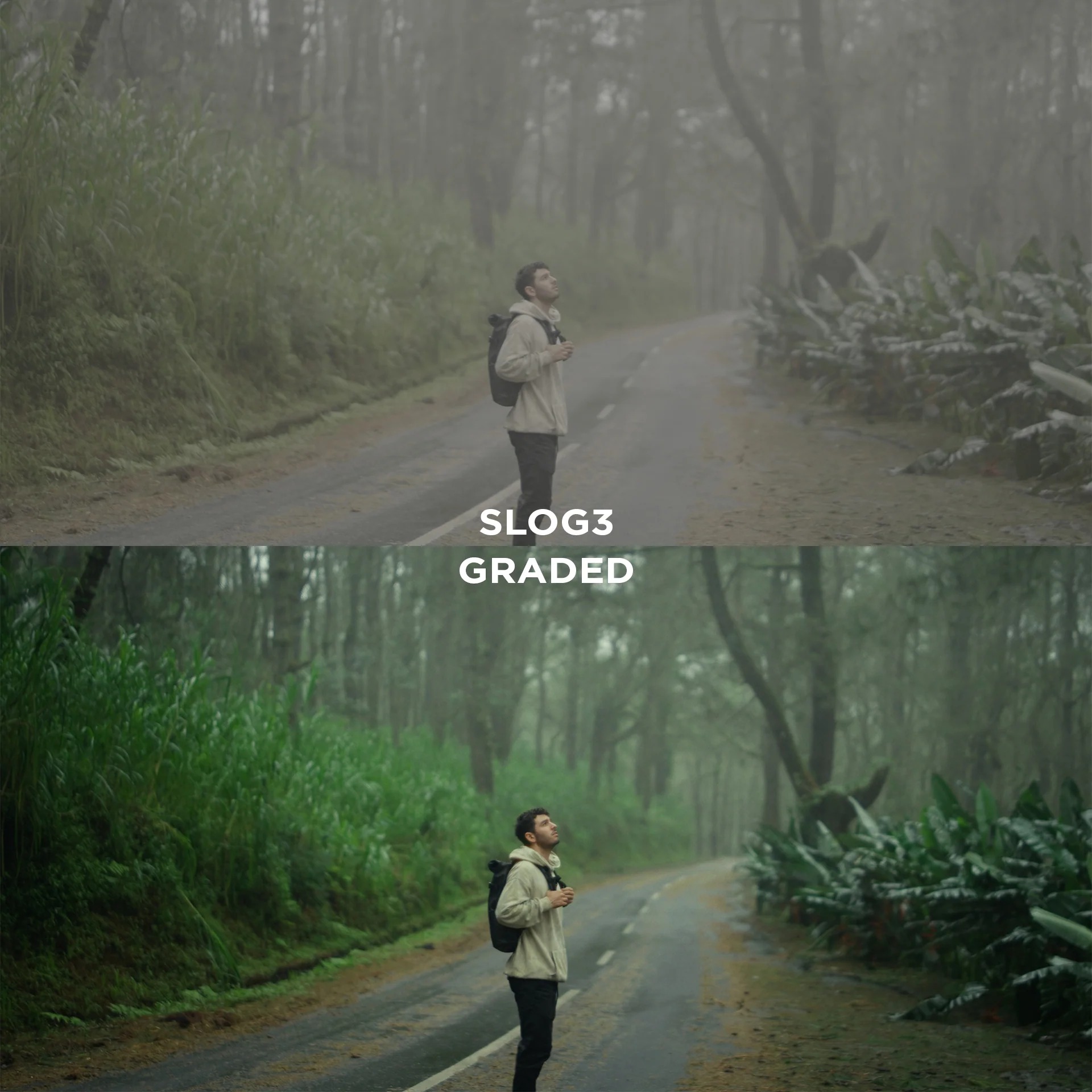 3款专业电影级肤色保护色彩增强Sony SLOG3/大疆DLOG视频调色预设 | Filmic LUTs – Luca Epifani _UBu8Pj