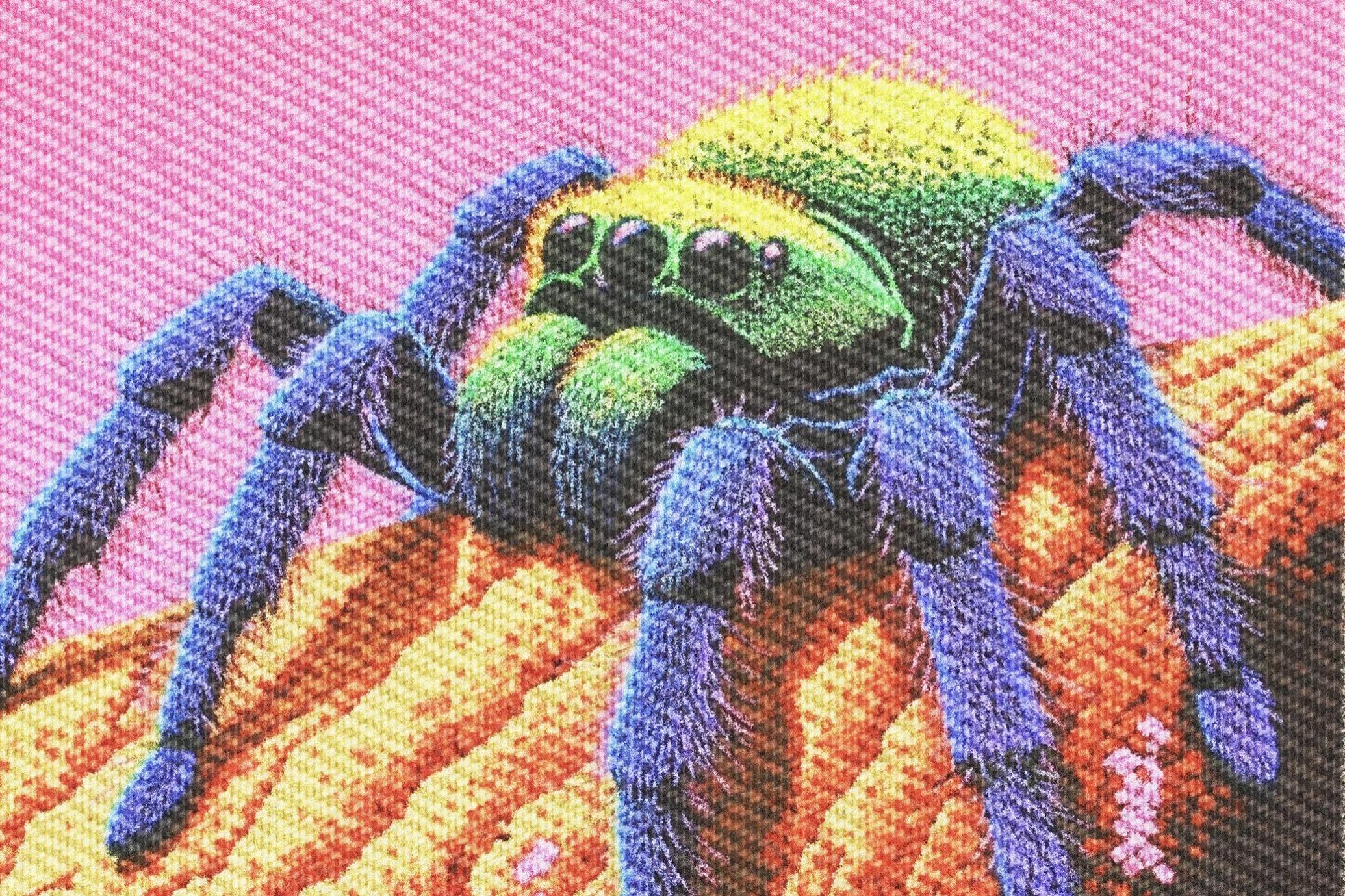 2款机绣纹理真实针织质感刺绣织物效果PSD素材 |  Machine Embroidery Texture Effect_p6PaH5