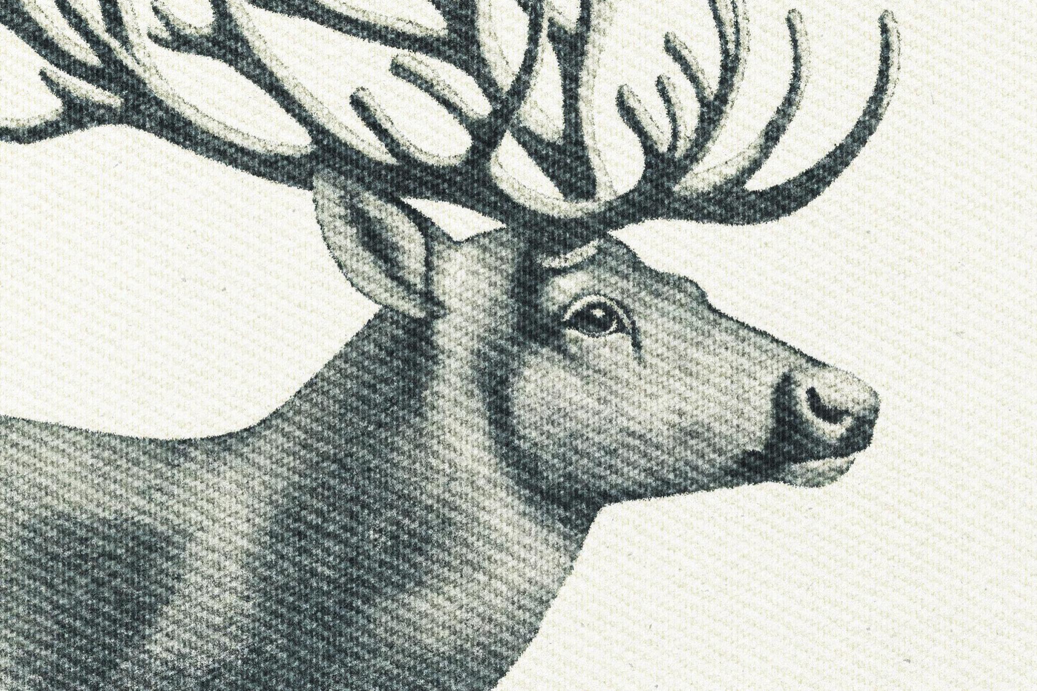 2款机绣纹理真实针织质感刺绣织物效果PSD素材 |  Machine Embroidery Texture Effect_HDKO6K