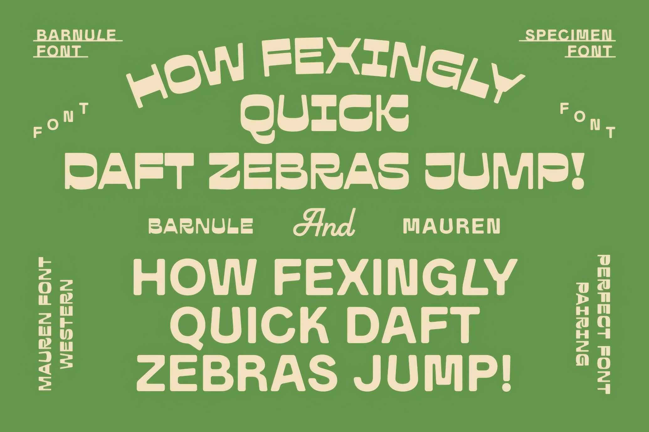 欧美复古怀旧潮流风粗体自由包装品牌字体 | Barnule & Mauren — Western Font Duo_jZ7ySA